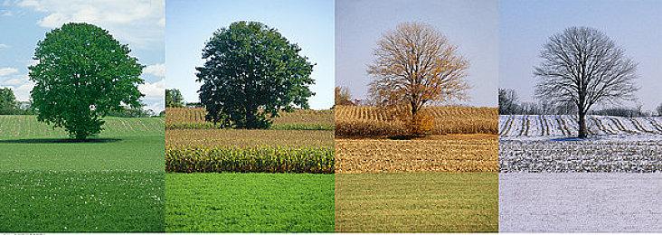 2D横板动作游戏《伊莉丝：深渊洄光》公布 2023年发售