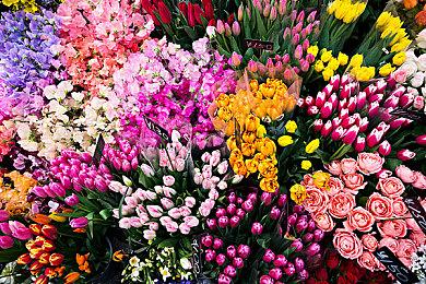 最好的儿童节礼物 6月1日起部分港服任天堂第一方NS游戏降价